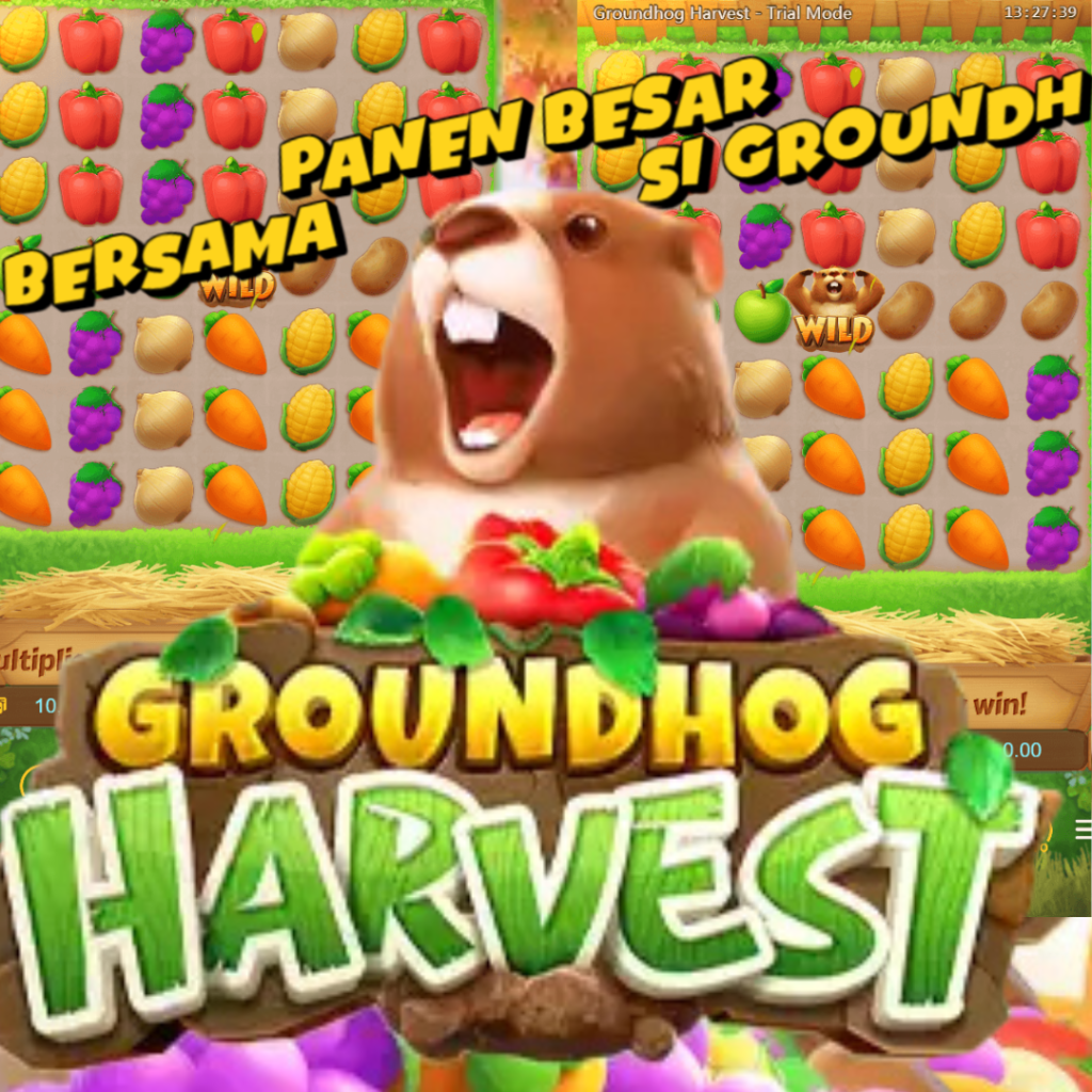 Panen Besar Bersama Si Groundhog Nakal!